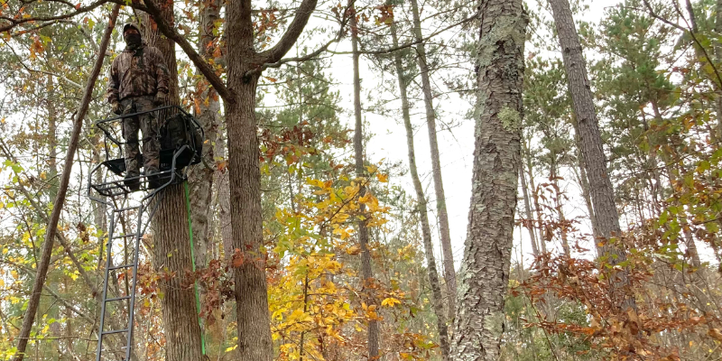 Using the Tree, Not the Stand, to Hide Your Body