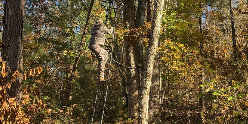 Ladder Stand Deer Hunting: How to Avoid Silhouettes and Getting Busted thumbnail