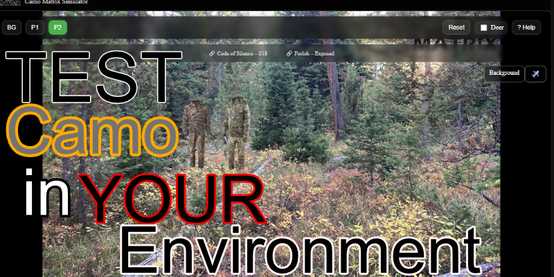 Best Hunting Camo Guide: How to Choose the Right Pattern for Your Environment
