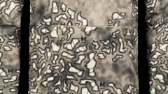 Hiden  Arid Exile camouflage